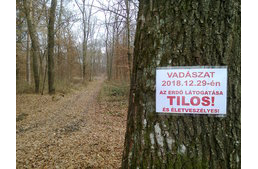 Erdőlátogatási tilalom Zala megyében