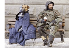 Jótékonysági koncert a kóbor kutyák megsegítésére