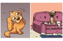 10 humoros jelenet, ami minden gazdinak ismerős lesz