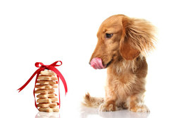 Ajándékok kutyáknak, kutyáktól