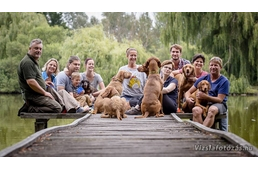 Ilyen volt a II. Deményista Piknik