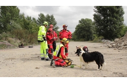 Magyarországon a világ legjobb mentőkutyái!