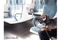 Kutyával a vonaton egyszerűbben - itt a petíció!