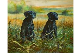  A boldogság forrása: a kutya