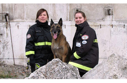 Mangó százszázalékos sikere a nemzetközi minősítő vizsgán