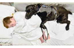 A kutya, aki gyökeresen megváltoztatta egy kisfiú életét