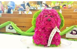 I.Kinológiai Konferencia – összefoglaló