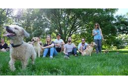 Kutyások Piknike a Hajógyári-szigeten