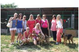 Lánybúcsú egy kutyamenhelyen!