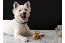 EBképesztő zabfalatok