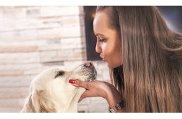 Jobban kedvelik a kutyák a dögönyözést, mint gondolnád