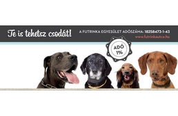 1%-ot a Futrinka Egyesületnek