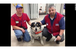 Segítőkutyája miatt nem alkalmazták a beteg férfit - most végre munkát kapott!