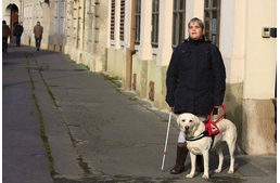 HÉVvel a cél felé