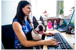 Kutyabarát munkahely lett a MOL