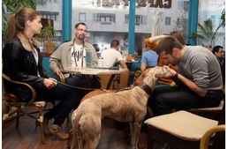 Kutyabarát helyek Szombathelyen