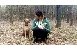 Jól nevelt kutyák és szoros kutya-gazdi kapcsolat napi gyakorlással