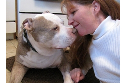 Fogadd be az utolsó napjaira!