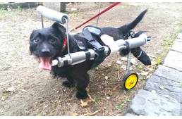 Két keréken, lelkesen