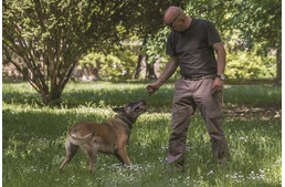 Rablót fogott Meló, a nyomkövető kutya