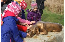 A Rex alapítvány szerint a közösségépítés a kulcs