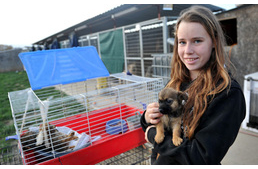 Kutyamentő fiatalok a TV2 Süss fel nap! programjában