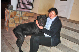 A jegyző, aki az állatkínzás ellen is fellép