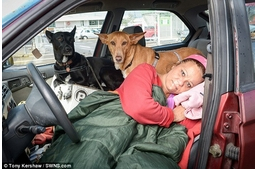 Lakhatásért cserébe sem adta fel kutyáit