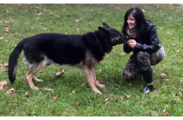 Lemondani a kutyáról, kitartani a kutya mellett… - I. rész