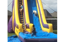 Így kell délután mókázni!