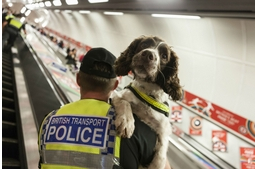 Emeld fel a mozgólépcsőn!