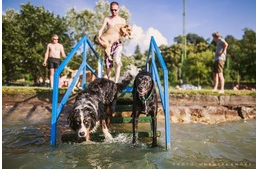 Fejlesztések a Fonyódi Kutyás Fürdetőhelyen