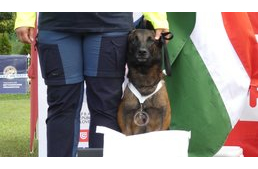 Ismét remekeltek mentőkutyásaink a világbajnokságon