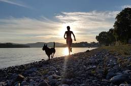 "Hat láb-egy tempó" - Kutyás terepfutó verseny