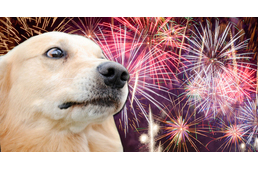 Nem lesz többet tűzijáték szilveszterkor Tatán