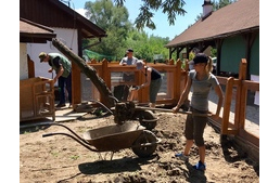 Gazdagabb környezet: vidámabb állatok