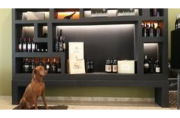 Magyarországról örökbefogadott vizsla fogadja az olasz szálloda vendégeit