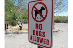 Kővágóörs: nincs kutyabarát strand!