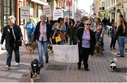 Egységben az erő - Tegyünk együtt a felelős állattartásért!