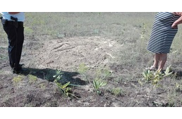 Vádat emelnek a balotaszállási állatkínzó ellen – súlyosabb büntetést kaphat