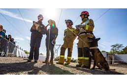 Magyar kutya lett a világ legjobb romkutató kutyája!