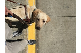 Vakvezető ABC – Á, mint átkelők