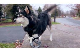 3D-nyomtatóval készült lábat kapott Derby