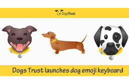 Kutyás hangulatjelek a telefonokra?