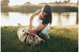 A kutyák is lehetnek csiklandósak?