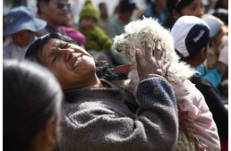 Áldás a kutyákra!