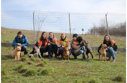 Gazdikereső menhelyi kutyák az iskolában
