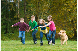 Aktívabb a kutyás család gyereke?