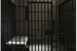 Letöltendő börtönt kapott a kutyáit bántalmazó hajdúszoboszlói férfi