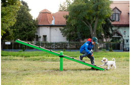 Facebook rajongók újították fel a zuglói kutyafuttatót
